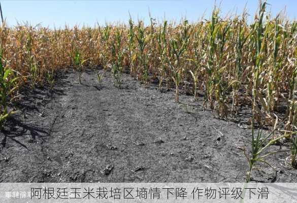 阿根廷玉米栽培区墒情下降 作物评级下滑-第2张图片-