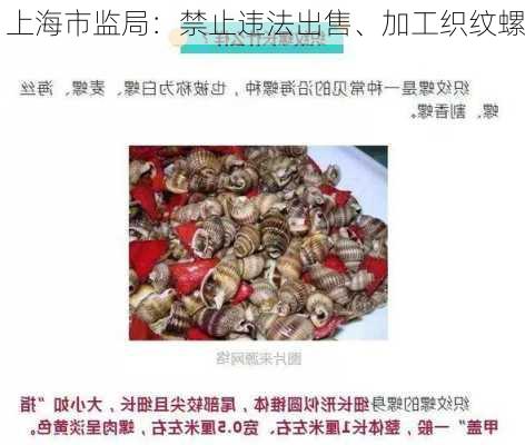 上海市监局：禁止违法出售、加工织纹螺