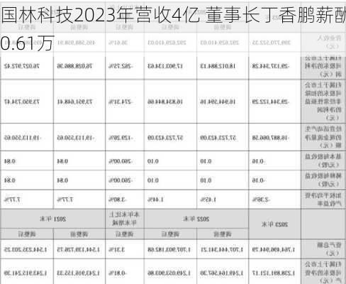 国林科技2023年营收4亿 董事长丁香鹏薪酬40.61万
