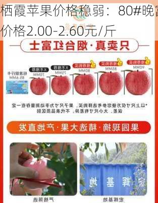 栖霞苹果价格稳弱：80#晚富士价格2.00-2.60元/斤
